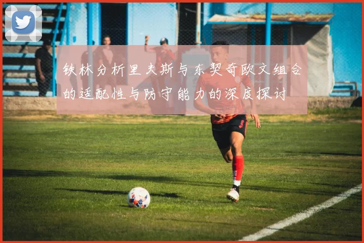 铁林分析里夫斯与东契奇欧文组合的适配性与防守能力的深度探讨