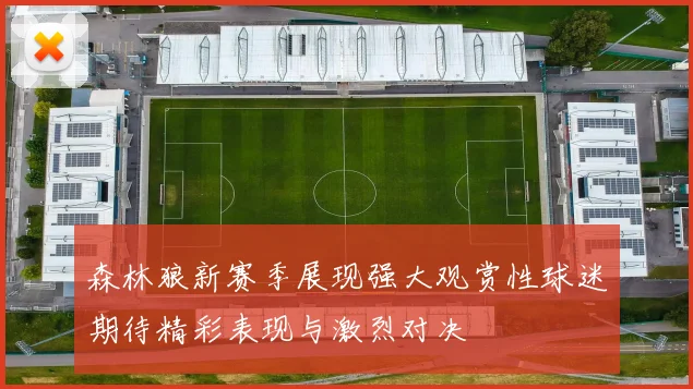 森林狼新赛季展现强大观赏性球迷期待精彩表现与激烈对决