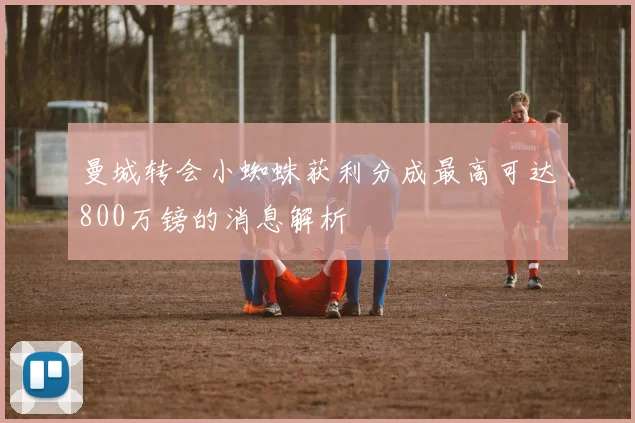 曼城转会小蜘蛛获利分成最高可达800万镑的消息解析